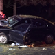 Illustration for article titled Guy Who Caught Tree In Pokémon Go Actually Crashed His Brother's Car